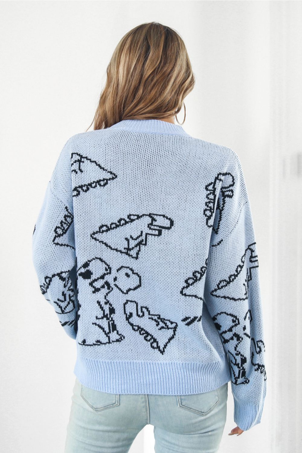 Dinosaur Pattern Round Neck Sweater